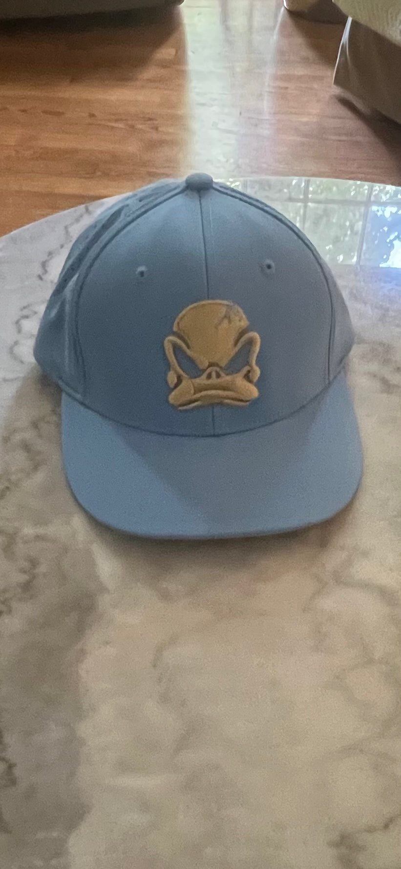 Duck Snap Back Hat
