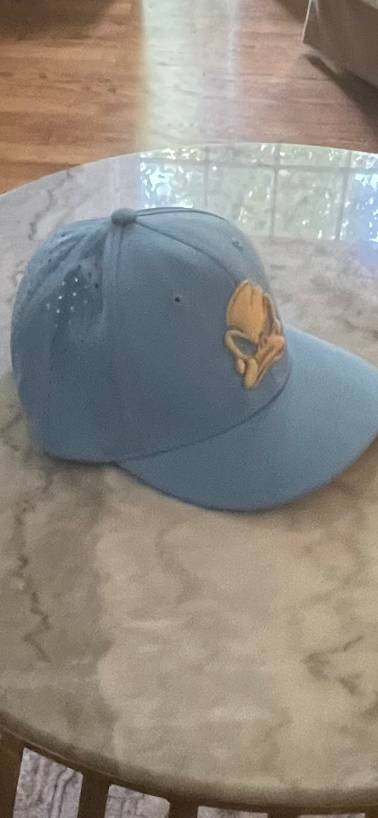 Duck Snap Back Hat